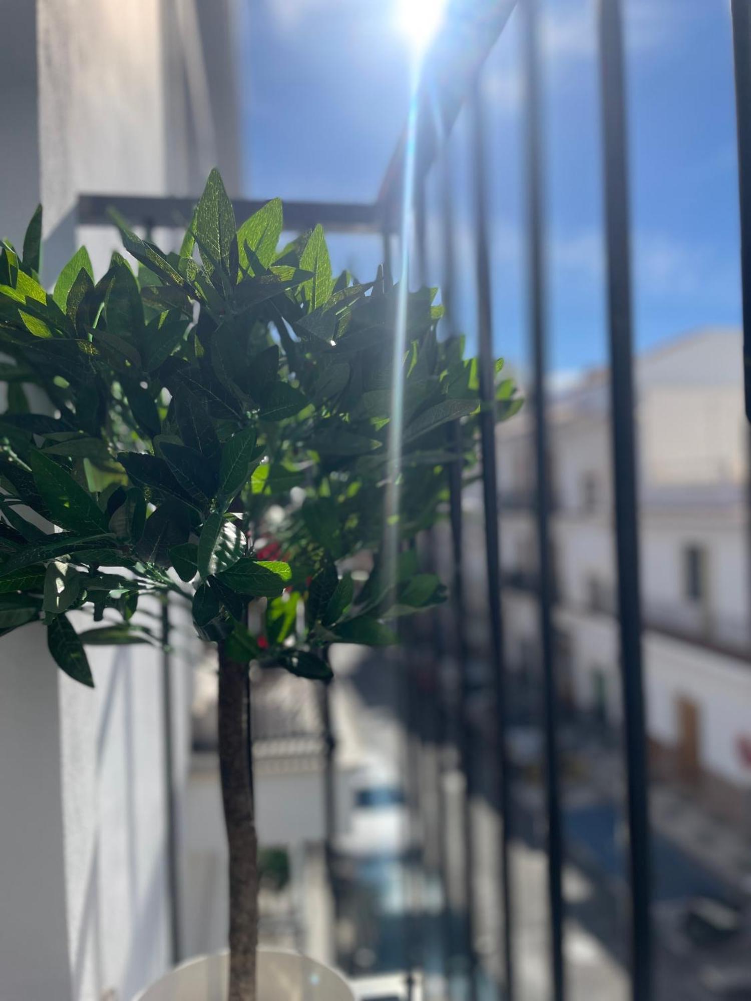 Pradosol * Nerja