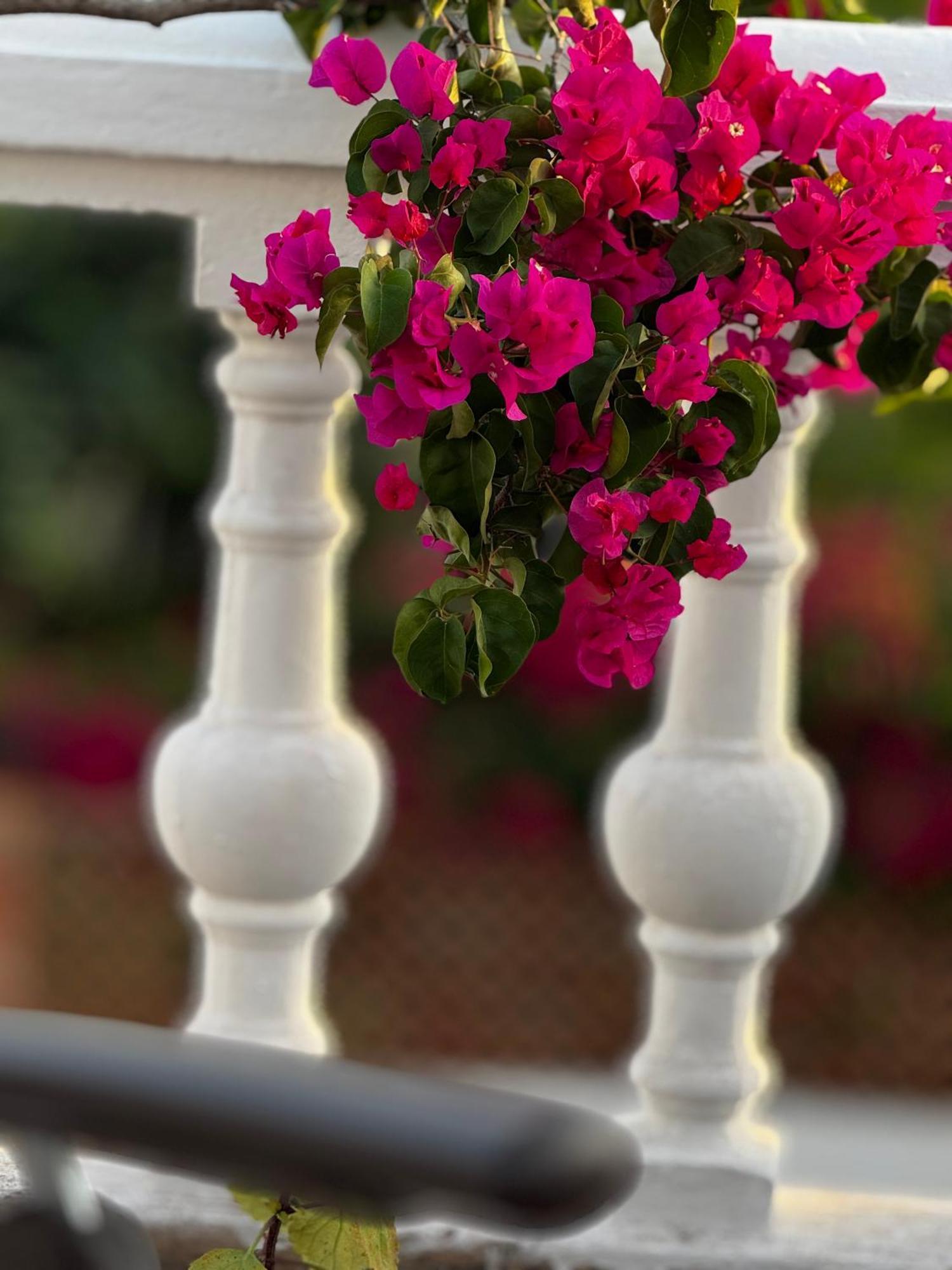 Apartment Bajamar 24 Nerja