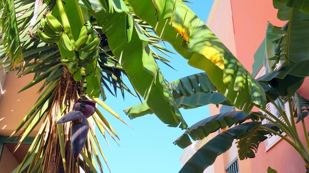 Starnerja Ii Apartamento