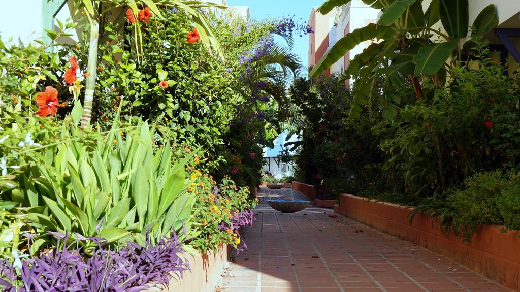 Apartamento Starnerja Ii *