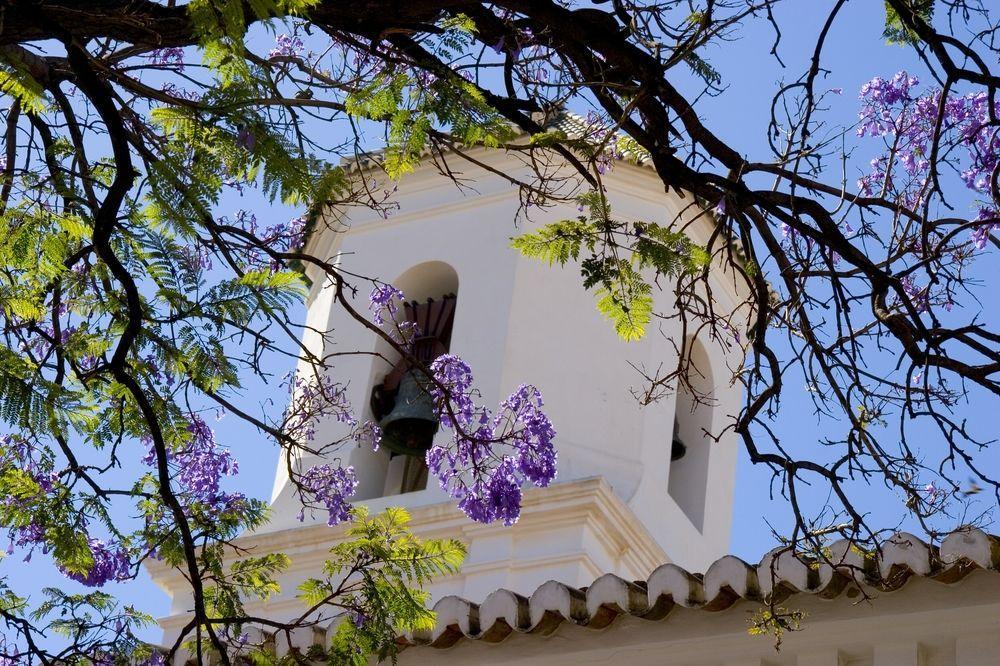 Plaza Cavana 5 Nerja