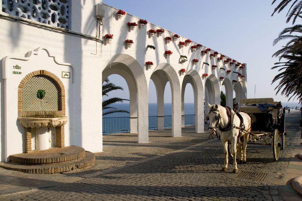 Plaza Cavana 5