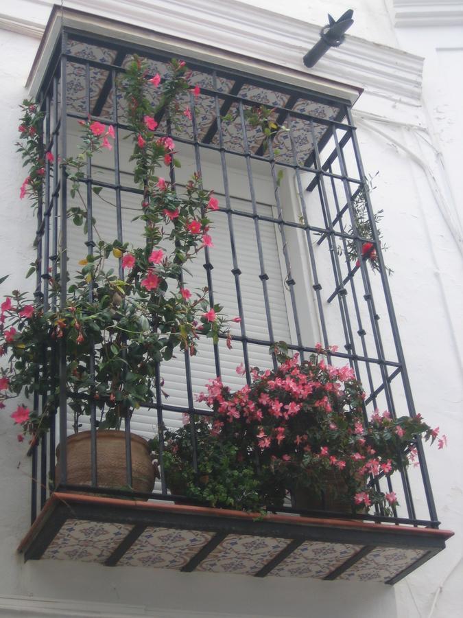 Apartamento Carabeo 2000 3.1