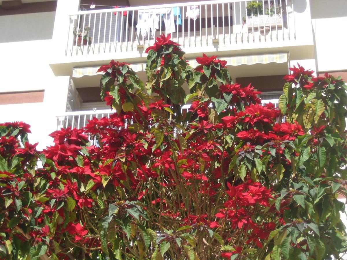 Carabeo 2000 3.1 Apartamento Nerja