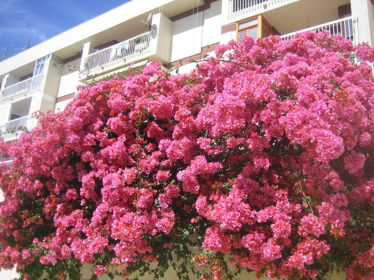 Apartamento Carabeo 2000 3.1 Nerja