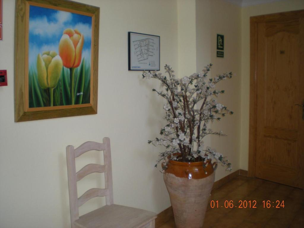 Casanova Apartamento Nerja