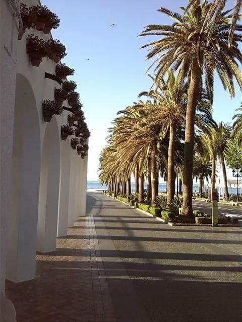 Apartamento Manuel Martin *