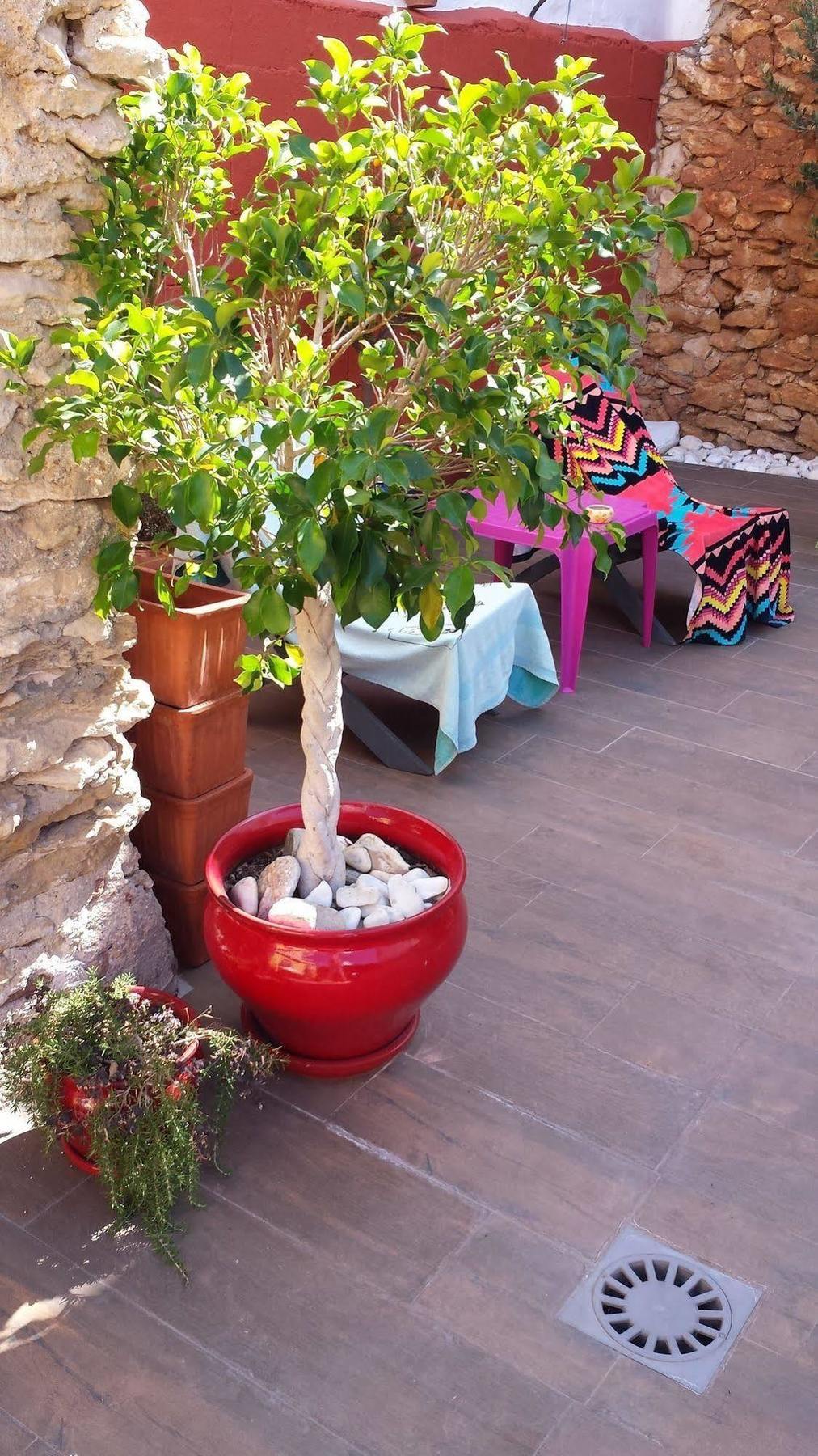 Boutique Lorca Guest house 2*