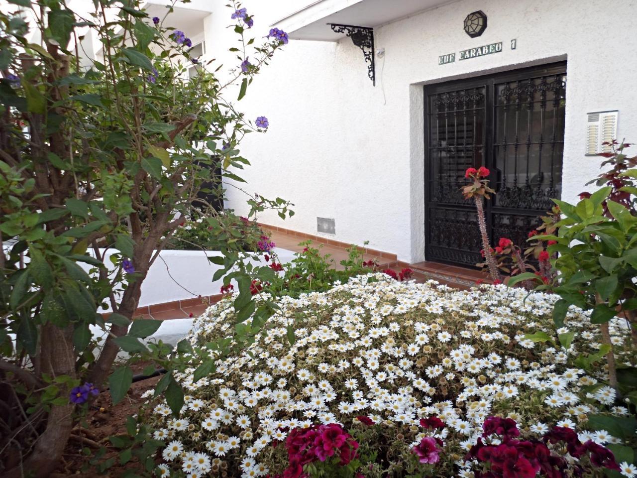 Apartamento Carabeo I 18 Menyber *