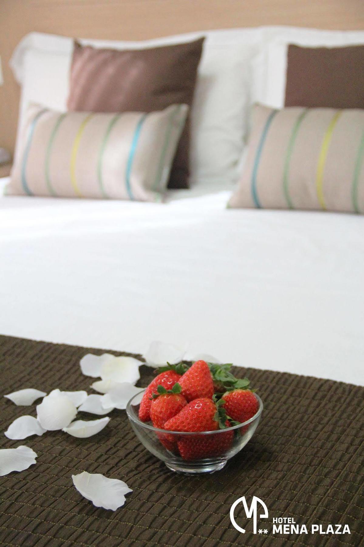 Mena Plaza Hotel 2*