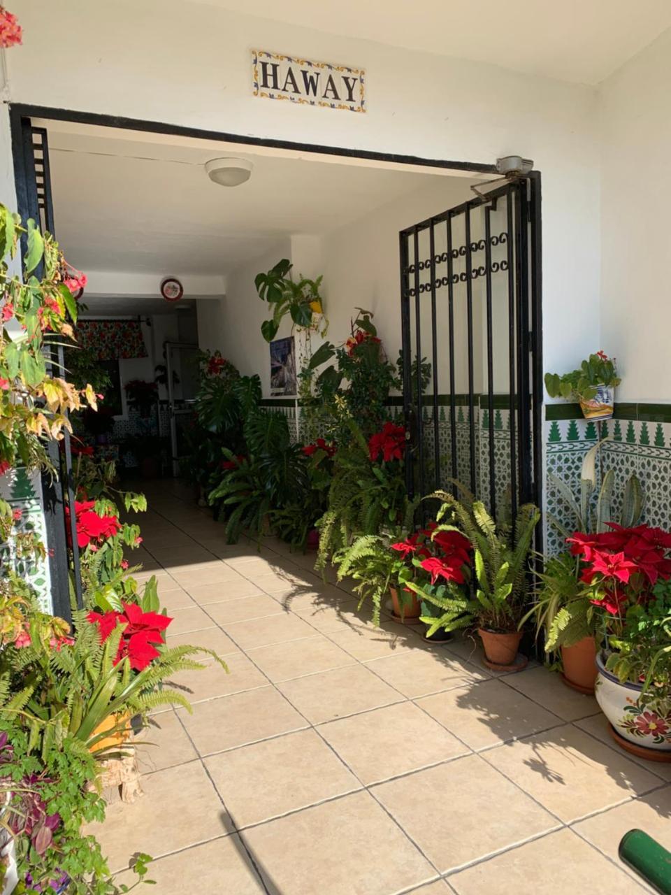 Hawaii 17 * Nerja