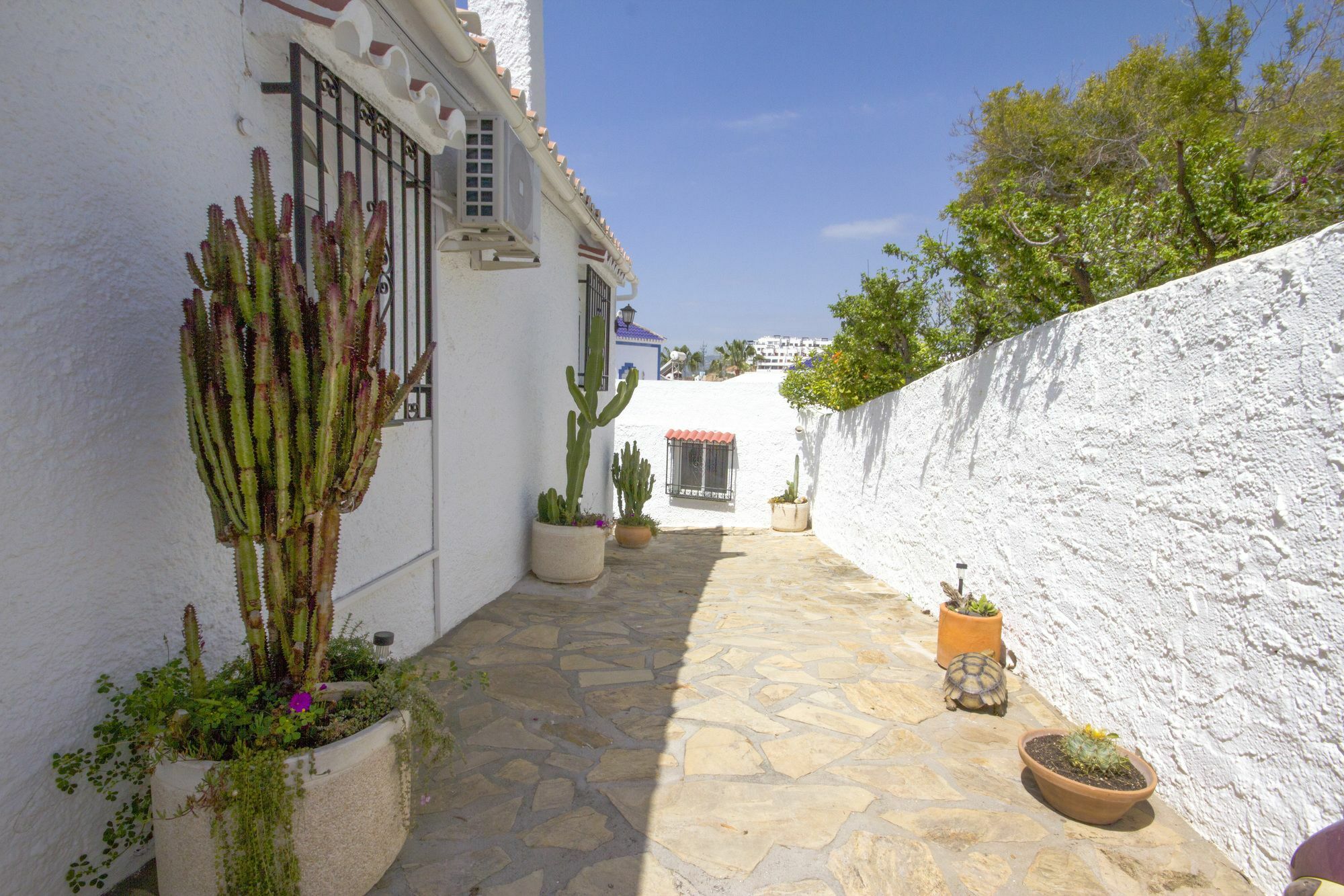 Villa Jazmin Canovas *
