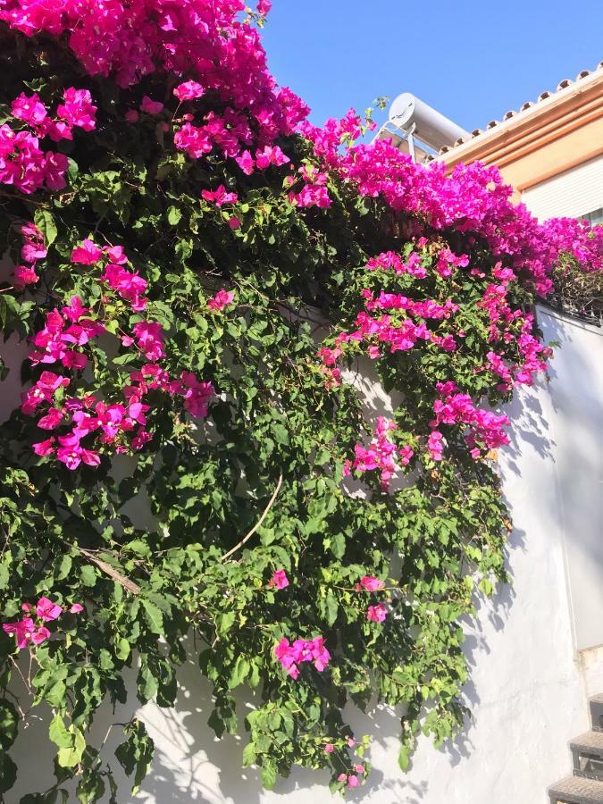 Casa de férias Casa Milo Nerja