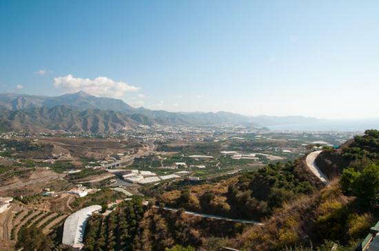 Zorro Fugaz En Puntalara Nerja