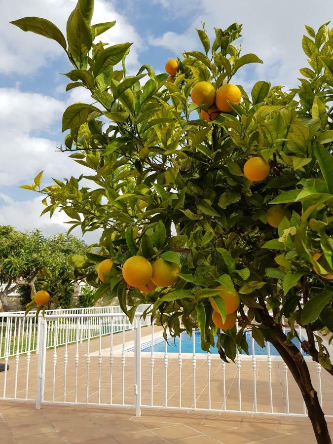 Jorge Spainsunrentals 1022 Villa Nerja