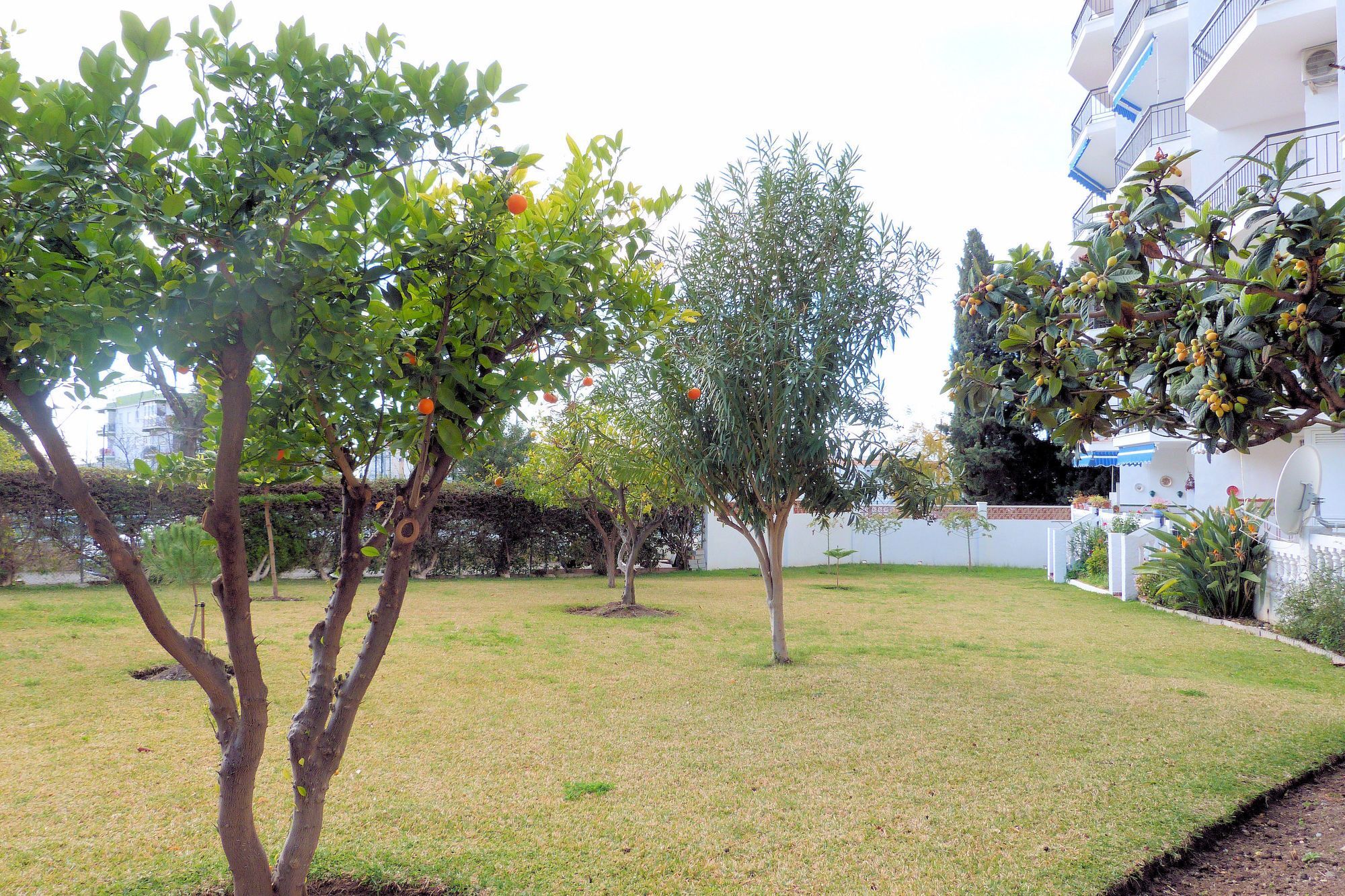 Almijara Apartamento