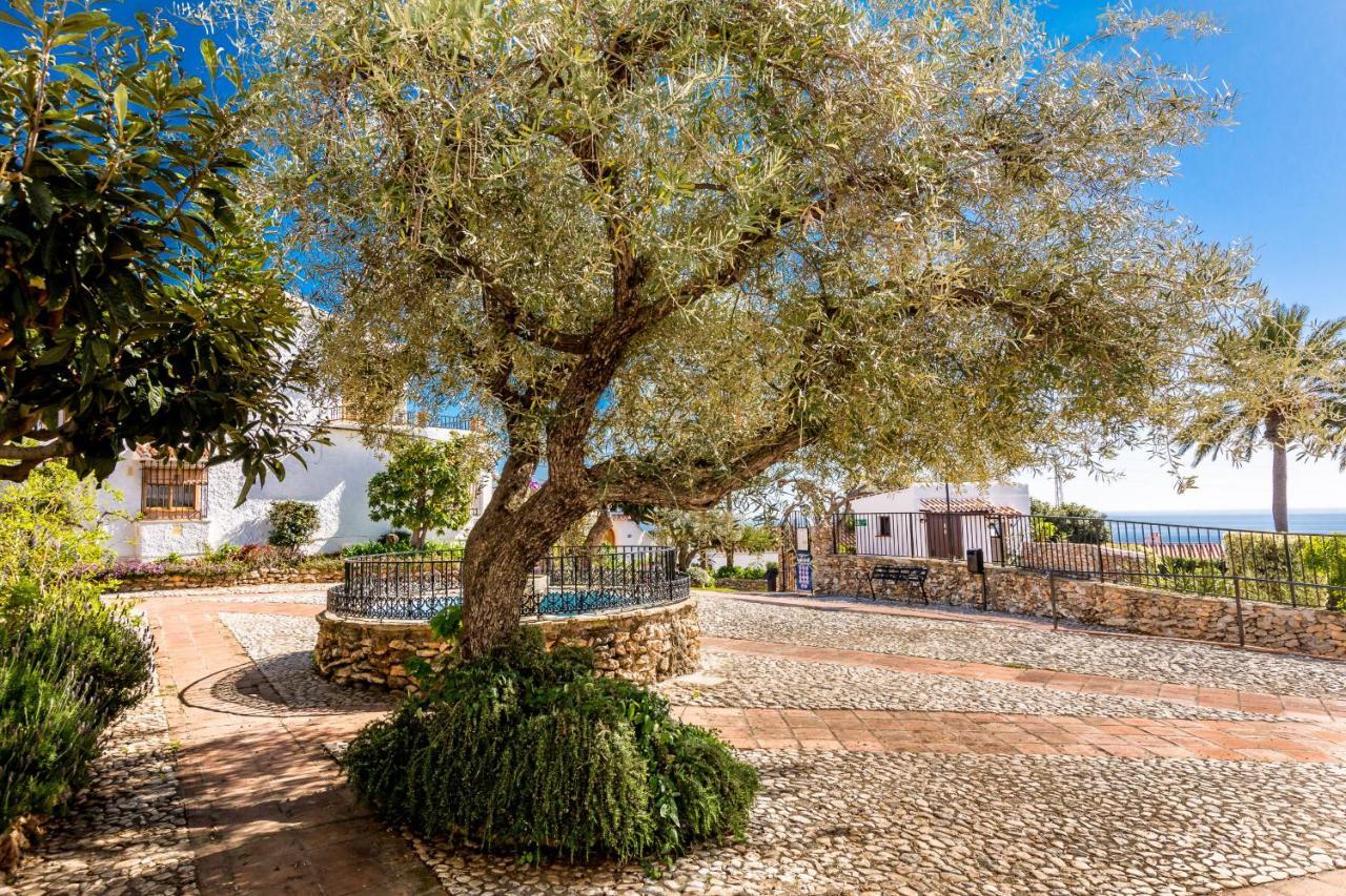 Violetas, Villa Nerja