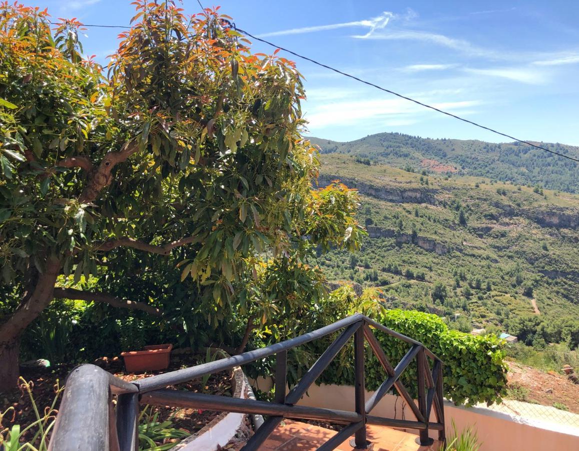 Bonita Holiday home *