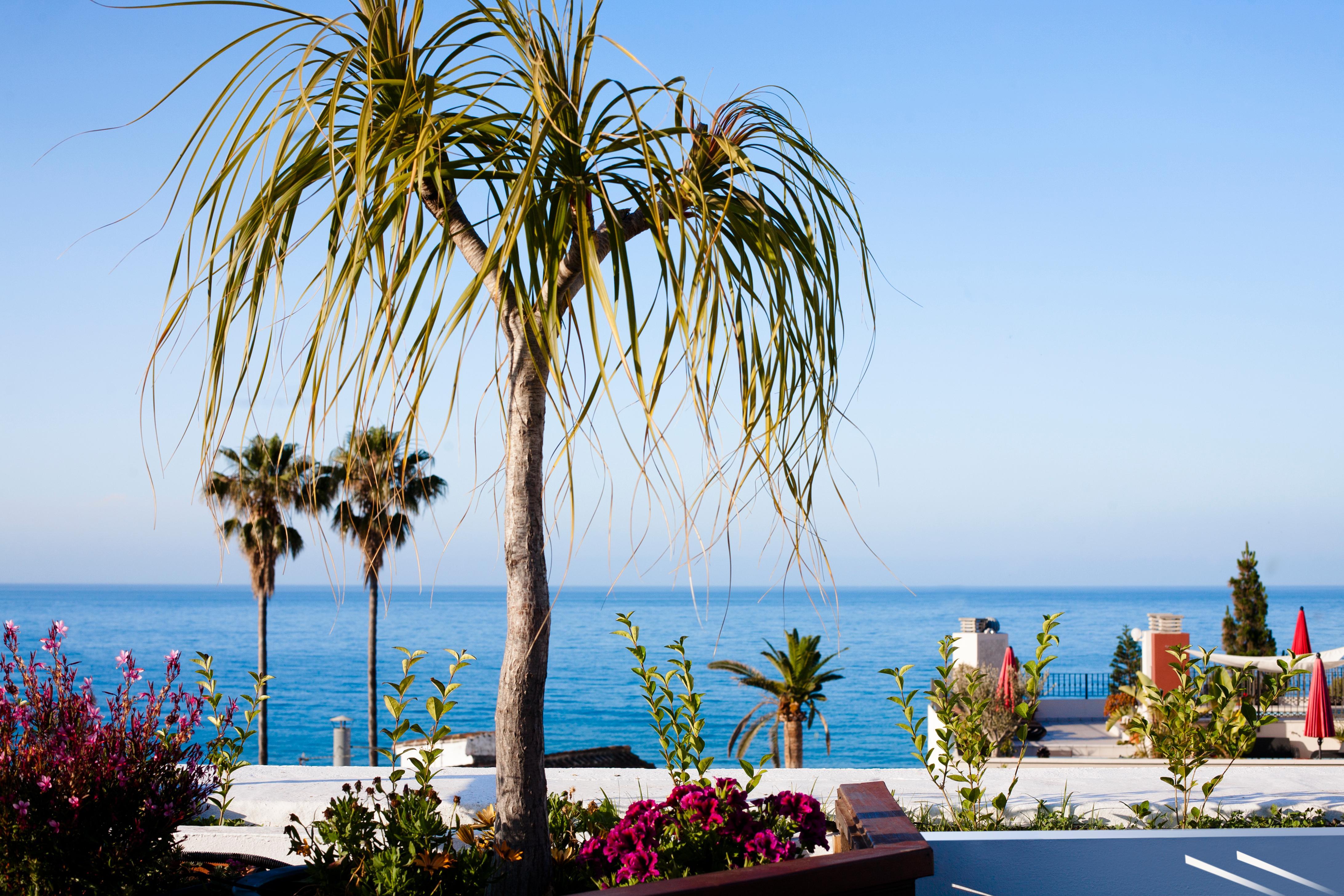 Hotel Plaza Cavana 3*