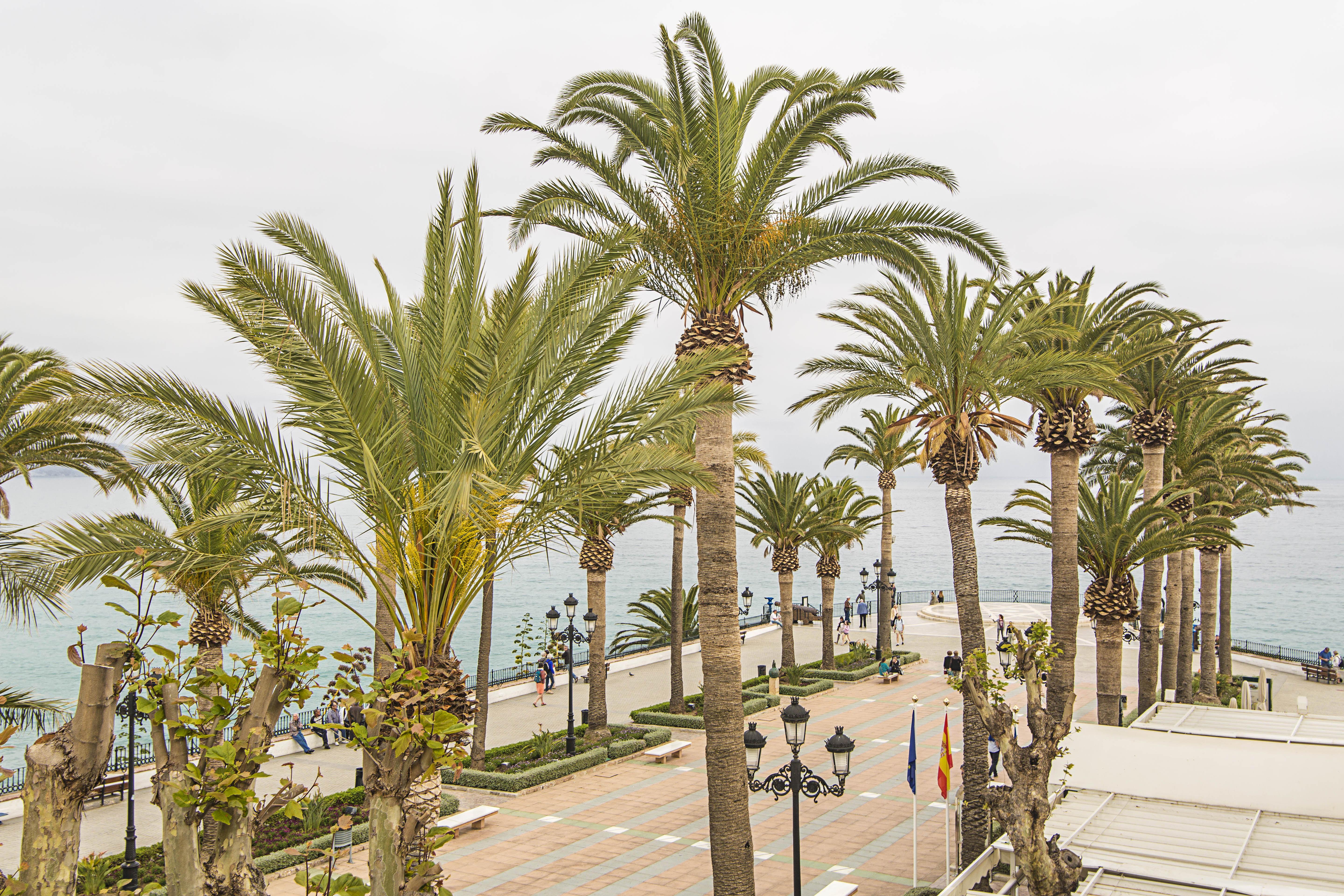 Marissal By Dorobe Nerja