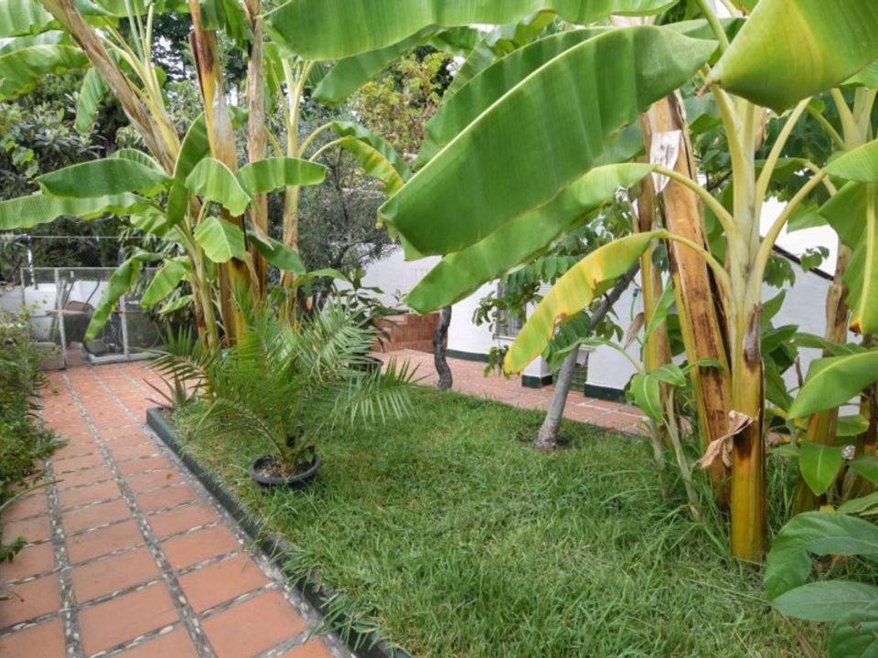 - Casa Vivi 12 Сasa de vacaciones Nerja
