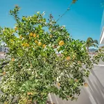 New Luxurious House With Rooftop Terrace And Pool