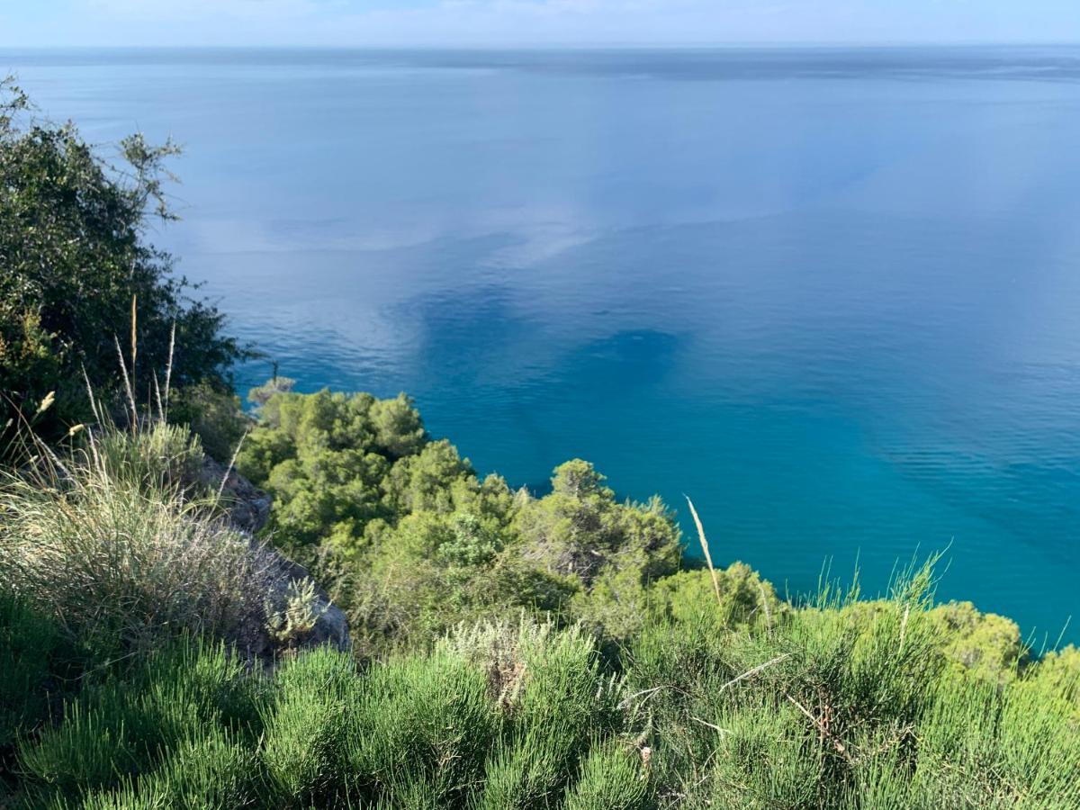 Nerjarooms Nerja