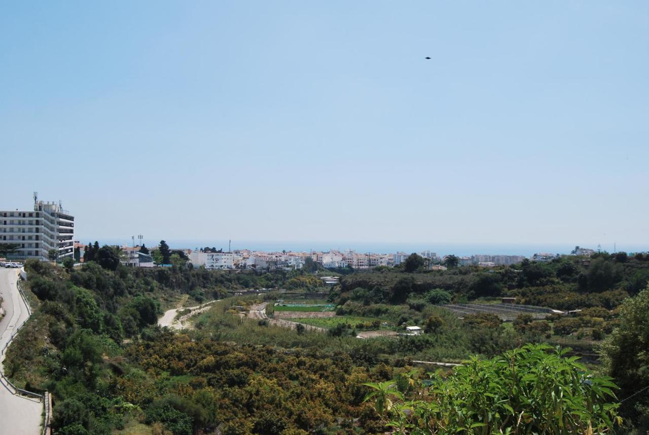 Ap322 - Mirlo Nerja