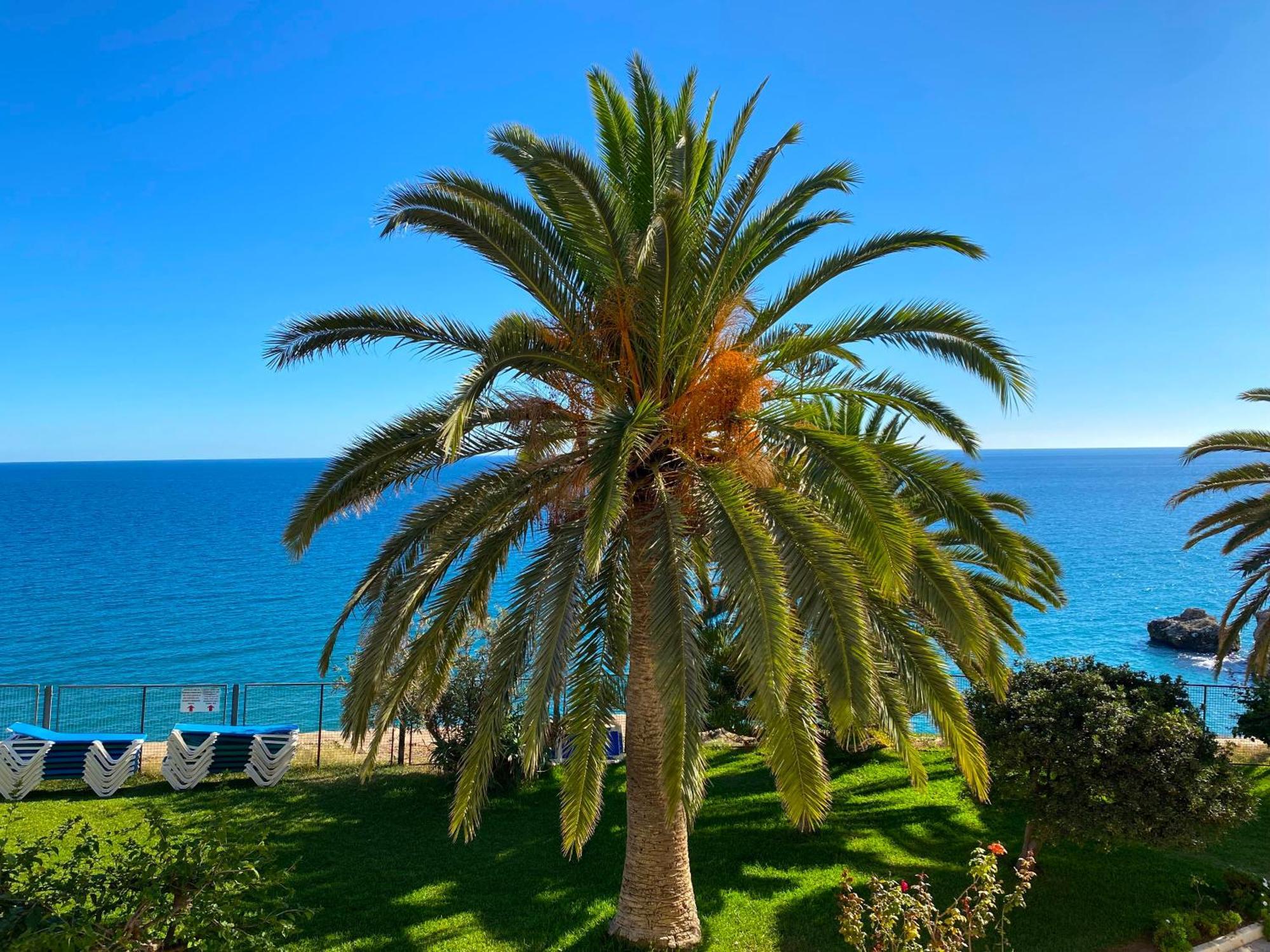 Tuhillo E1 Seaview Casasol Apartment *