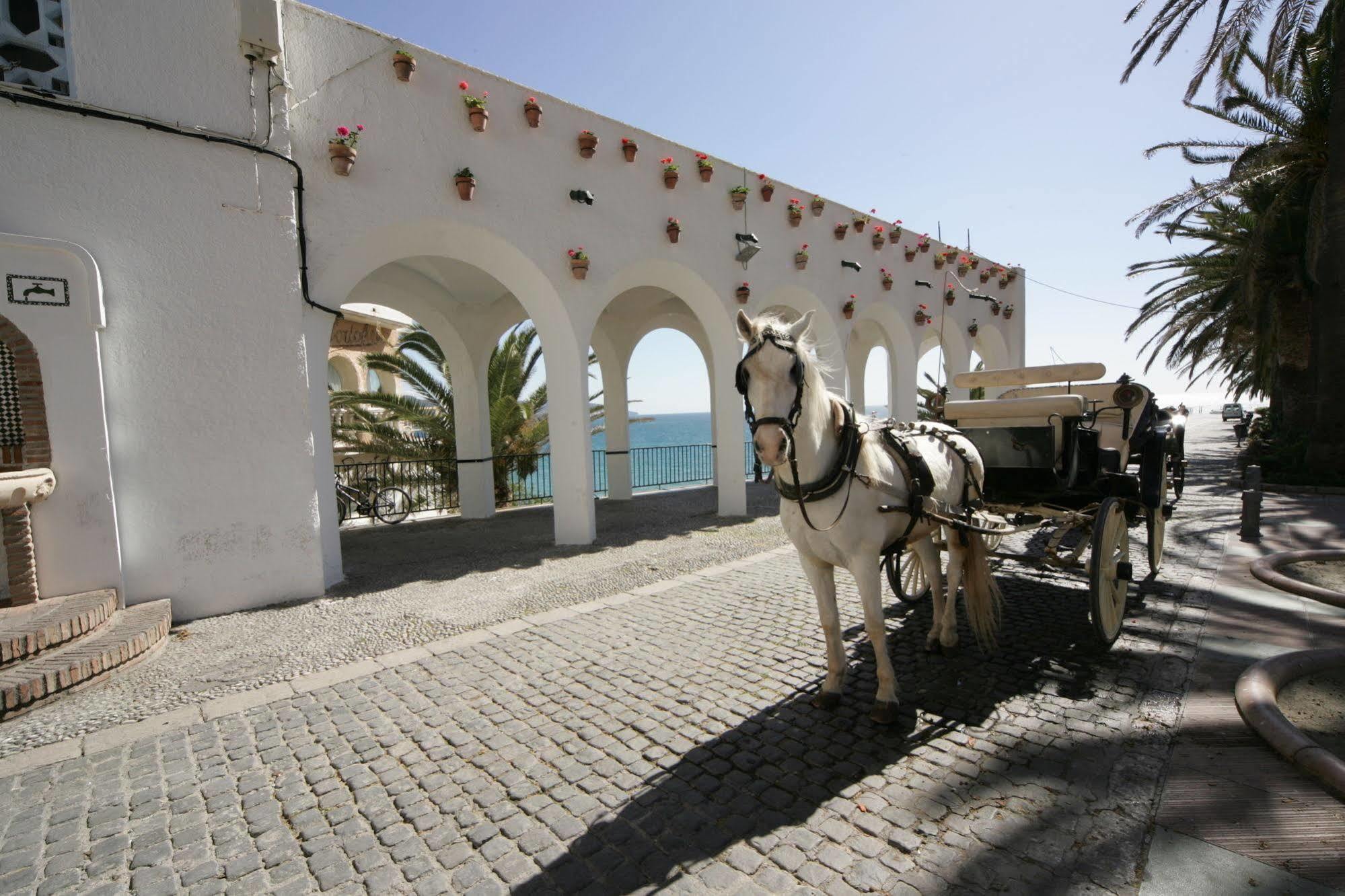 Toboso Nerja